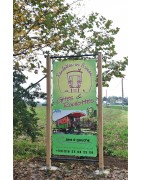 Signalétique, déco